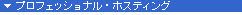 �v���t�F�b�V���i���E�z�X�e�B���O