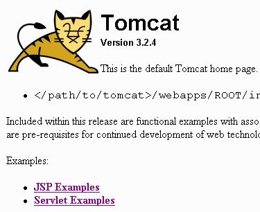 tomcat �R�l�N�^�[ servret