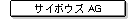�T�C�{�E�Y AG